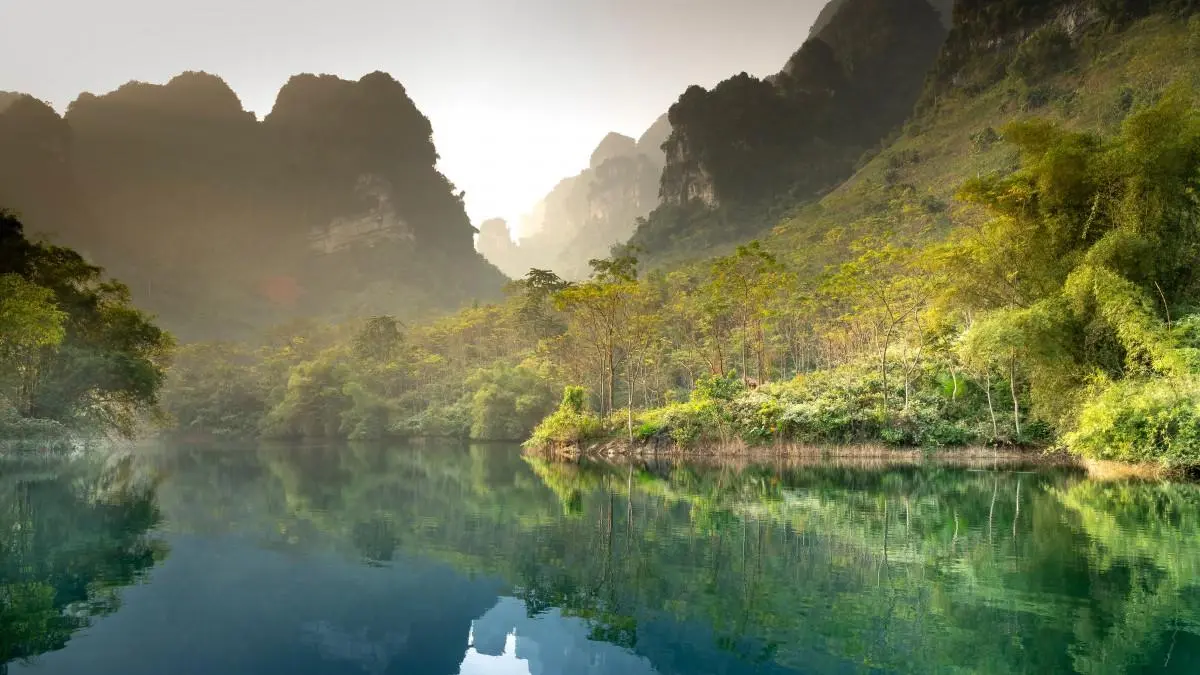精密可靠性智能